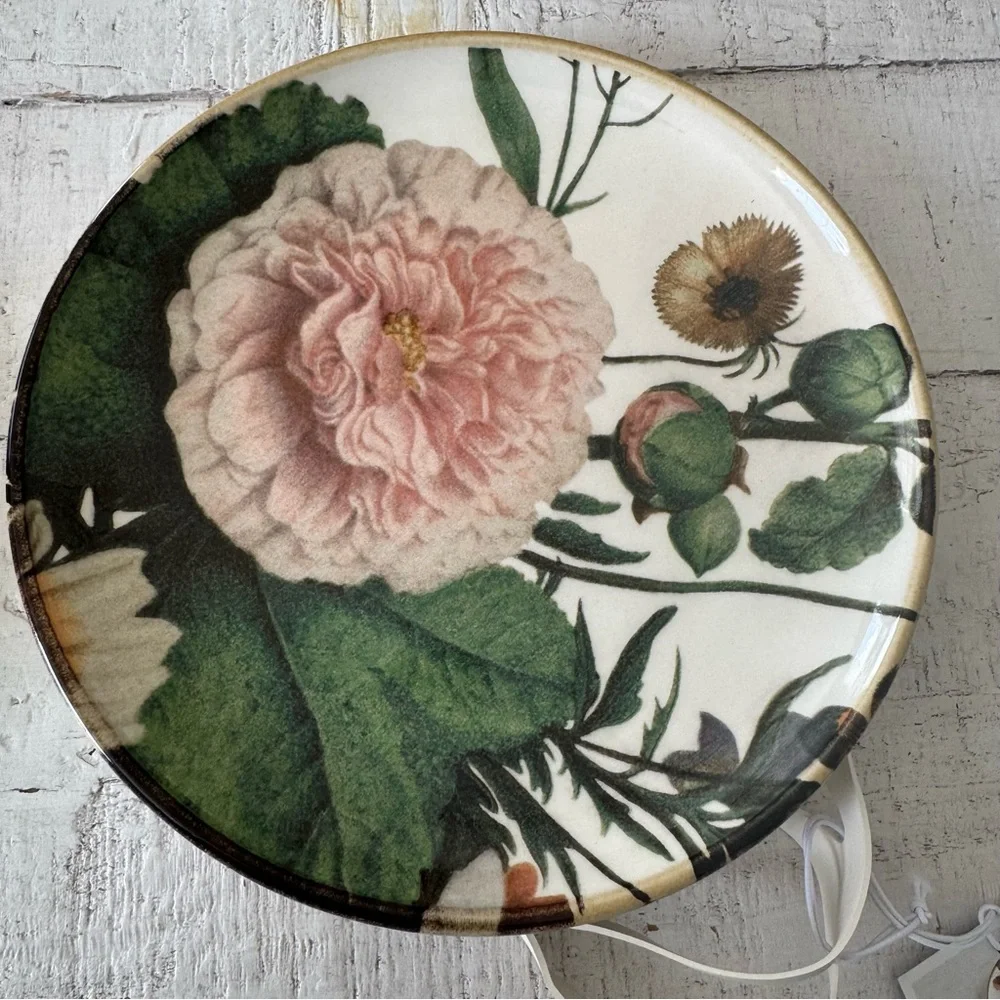 Pier 1 Imports Moody‎ Blooms NWT Set of 4 Salad Plates Floral Ceramic Plate